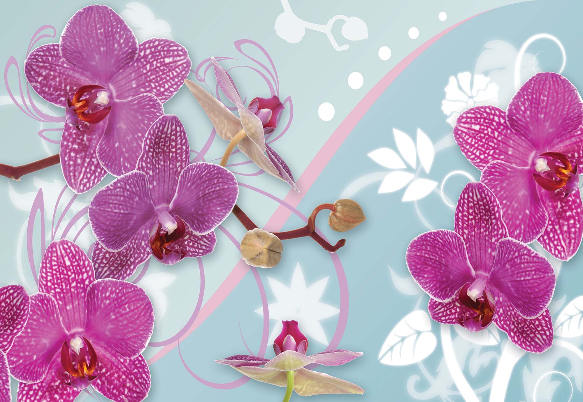 Фон орхидеи для фотошопа