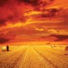 Gold Countryside Field Nature(414WM) - Image 2