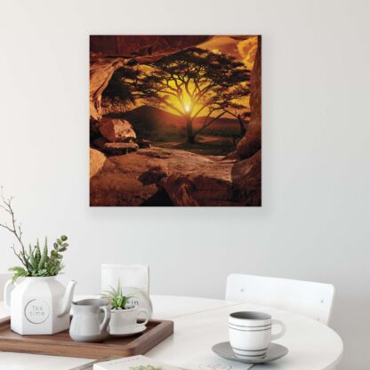 Forest and Trees (10260CV) - Image 3