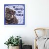 Animals and Living (11436CV) - Image 5