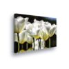 Flowers (585CV)