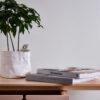 Tapeet 248312 - Image 8