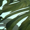 Tapeet 365193 - Image 4