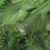 Tapeet 380541 - Image 3