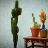 Tapeet 1374233 - Image 6
