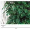 Tapeet 1382411 - Image 4