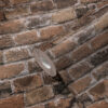 Tapeet 1388142 - Image 2
