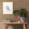 Tapeet 1388332 - Image 8