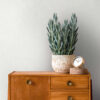Tapeet 1393301 - Image 6