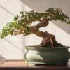 Tapeet 1395038 - Image 6