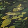 Tapeet 1396981 - Image 4