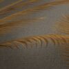 Tapeet 1399804 - Image 4